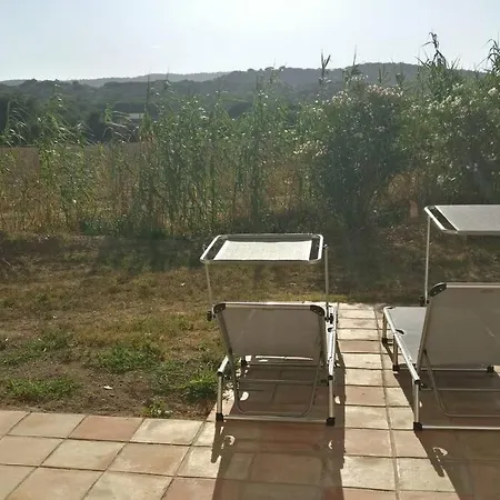 Les Vignes Et La Pinede Pres De La