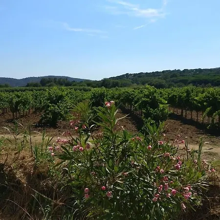 Apartment Les Vignes Et La Pinede Pres De La